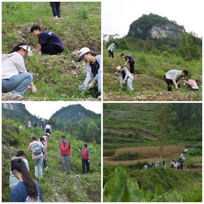 【暑期实践】医脉乡传 九秩筑梦——公司师生赴马山县里当瑶族乡龙琴村暑期“三下乡”社会实践活动 第 2 张